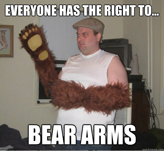 Right-to-bear-arms.jpg