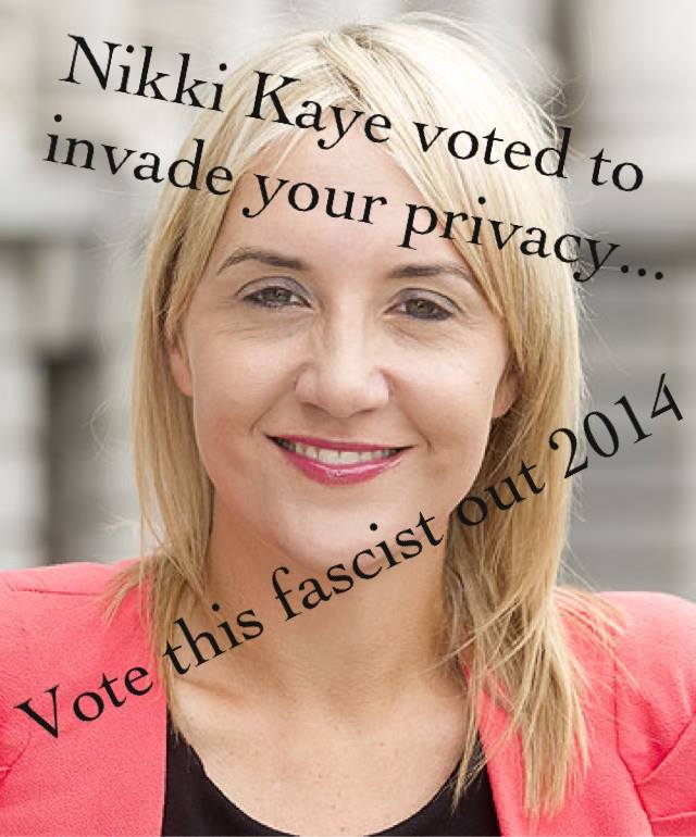 Reason <b>Nikki Kaye</b> won&#39;t win Central Auckland - 1234431_586261214767628_1906320843_n