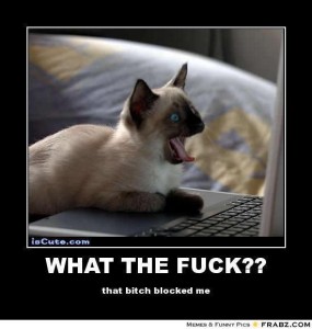 lol cat facebook blocked