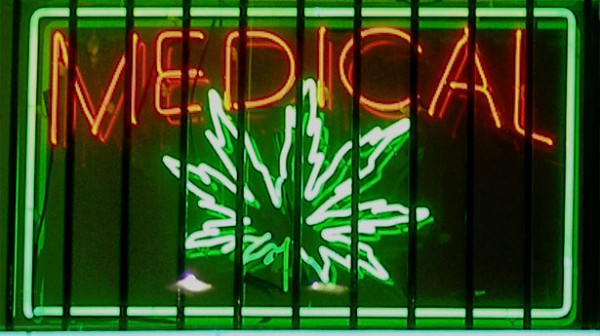 medicalmarijuana-laurieavocado