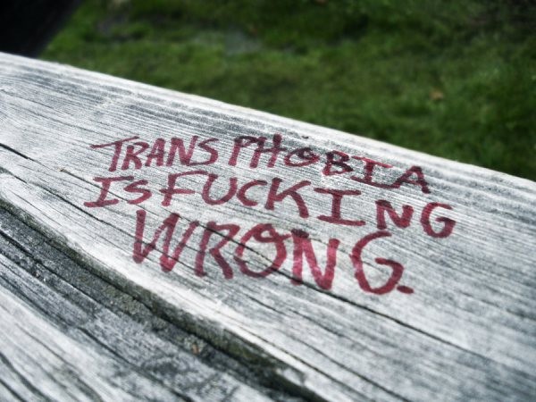 stop_transphobia__by_mjthinkpink-d4dchzf