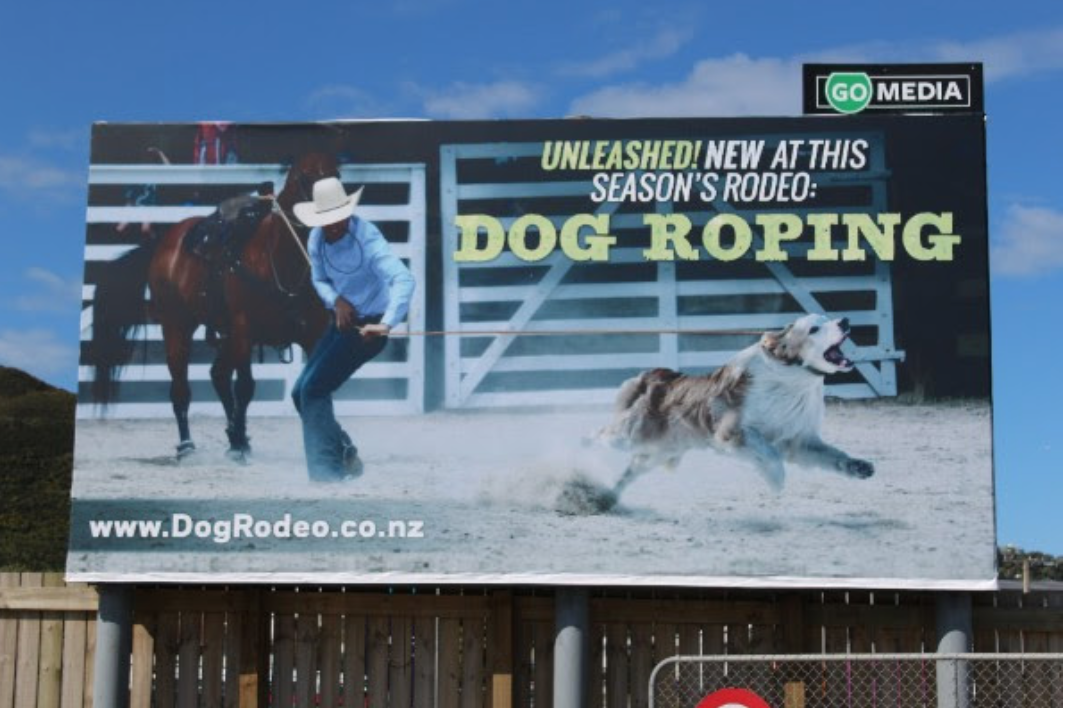 Animal advocates unveil ‘dog rodeo’ campaign – SAFE | The Daily Blog