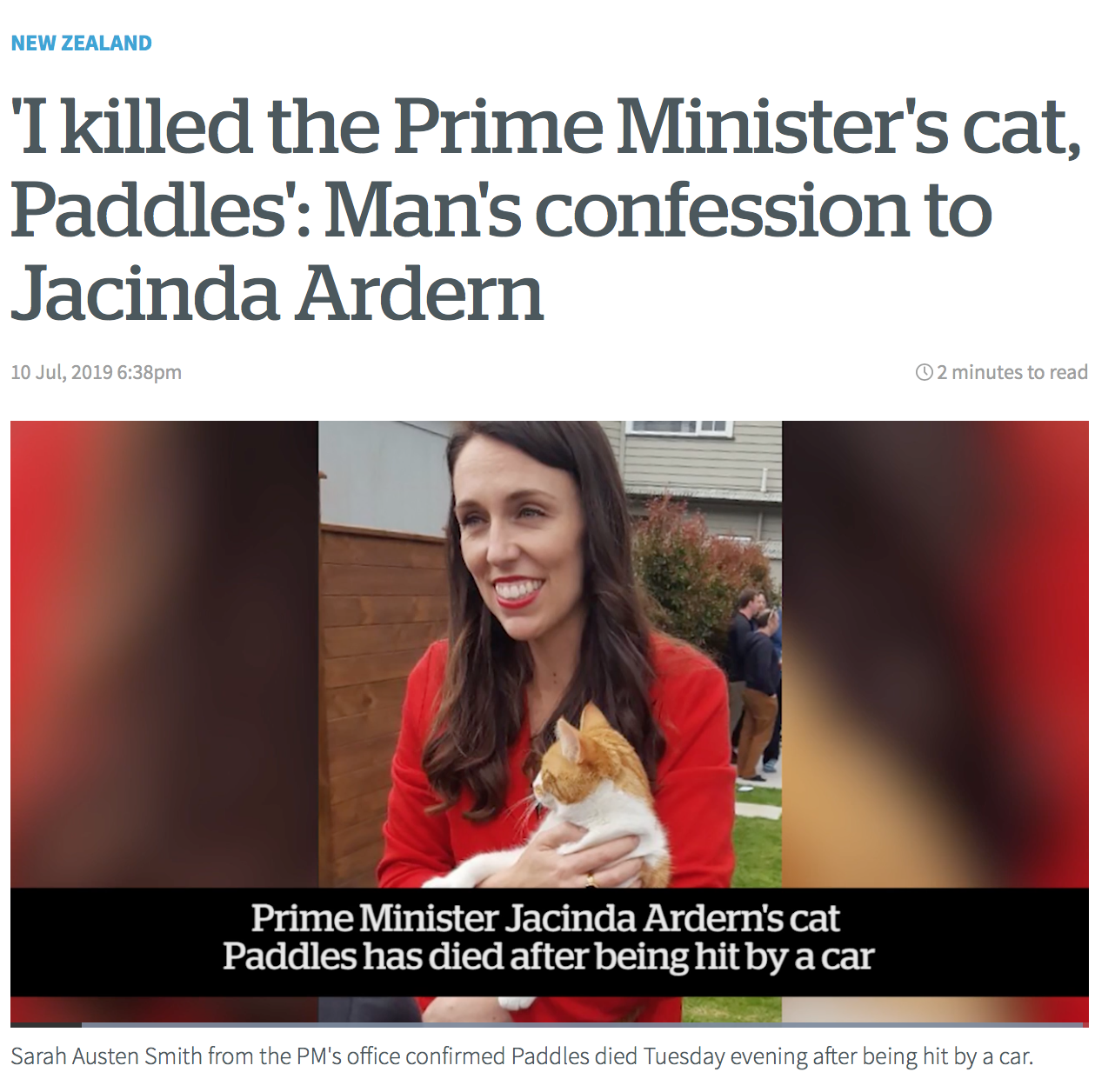 It's funny that the killing of the PMs cat gains more news headlines than  the revelation that the NZDF showed politicians doctored footage | The  Daily Blog