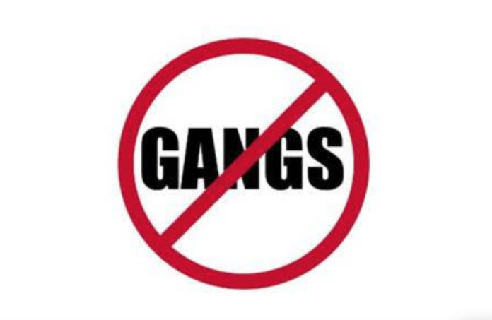 Screen Shot 2019-10-31 at 6.45.08 AM