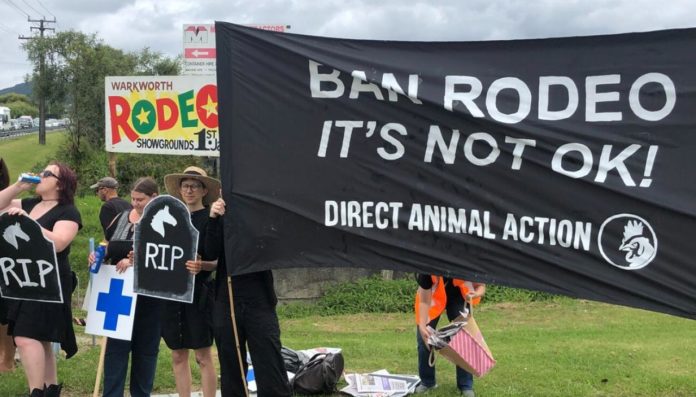 direct-animal-action-rodeo-protest-warkworth-jan2019-NEWSHUB-1120