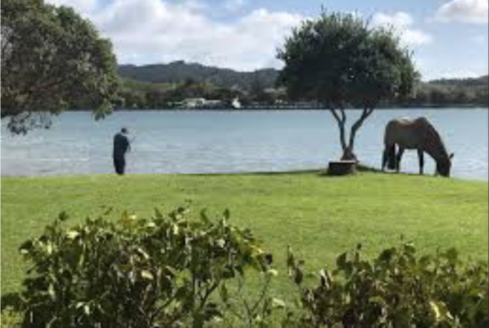 Screen Shot 2020-04-30 at 9.57.03 AM