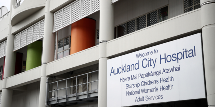 Screen Shot 2020-06-23 at 5.20.07 AM