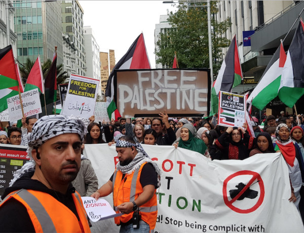 Free Palestine rally in Auckland rejects Israeli ‘genocide’ and ‘ethnic ...