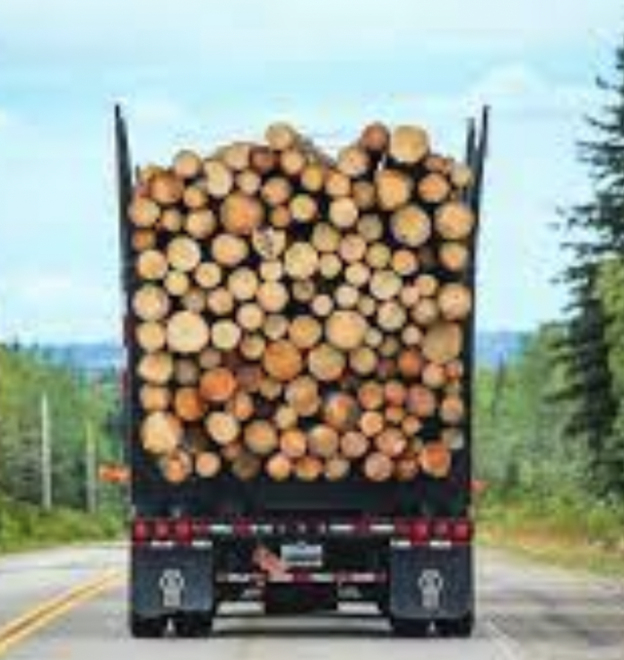 Screen Shot 2023-03-08 at 3.46.31 PM