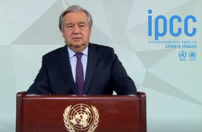 Screen Shot 2023-03-21 at 9.40.50 PM