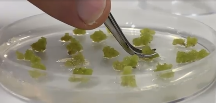 Screenshot 2023-09-20 at 5.29.22 AM