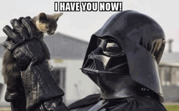 Screenshot-2023-11-26-at-12.45.44-PM