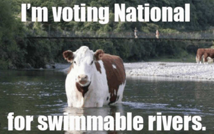 Screenshot-2023-06-16-at-4.22.02-AM