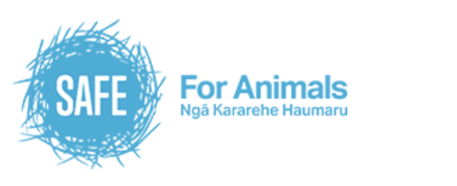 Screenshot 2025-08-19 at 4.32.01 AM