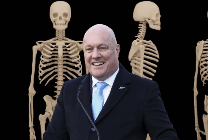 Screenshot-2025-08-23-at-11.32.36-AM