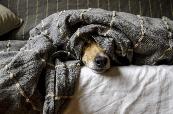 Screenshot 2025-09-25 at 4.27.43 AM