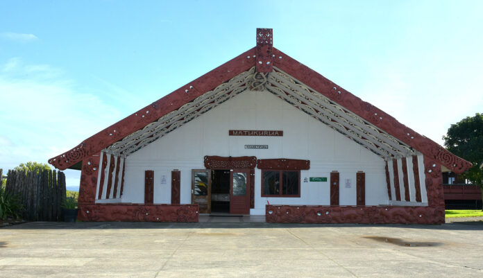 66fc9acd8740fc14e76d8cf5_manurewa-1