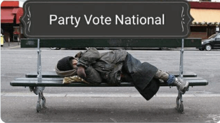 MEDIAWATCH – All Heather du Plessis-Allan’s latest column on homelessness is missing is a coat made of 101 Dalmatians