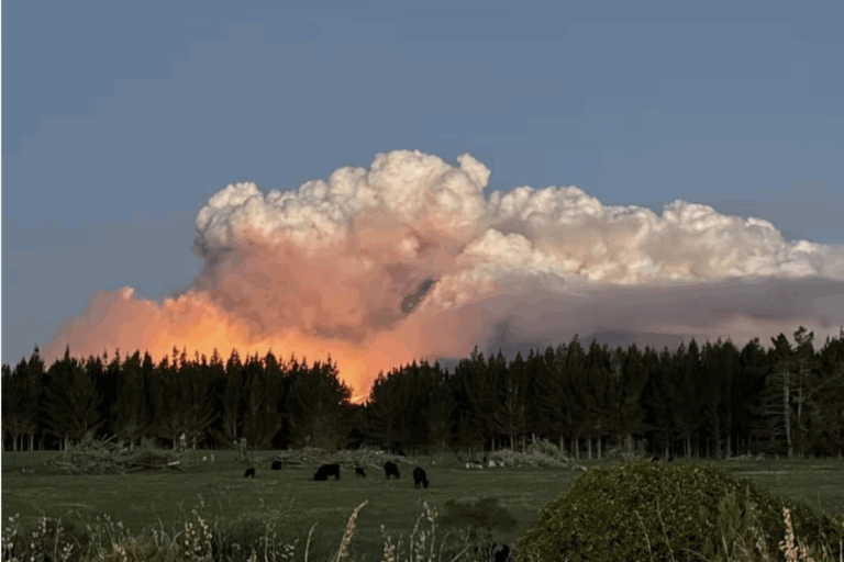 The Tongariro National Park wildfire vs Cutting emergency response as climate change events become more catastrophic
