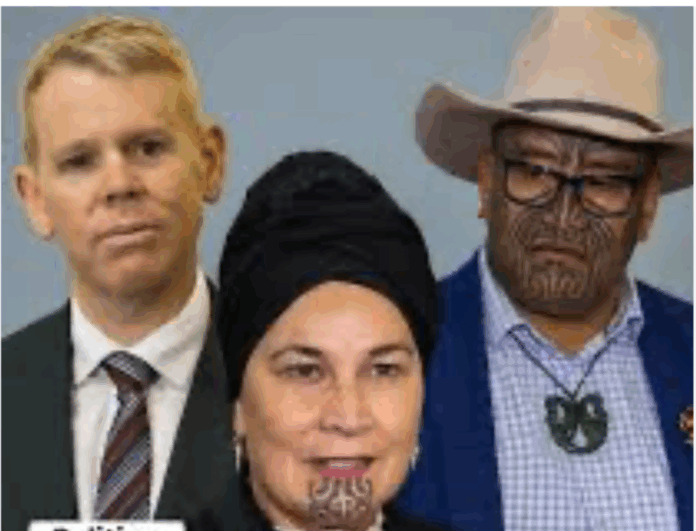 Screenshot 2025-11-26 at 1.33.19 PM