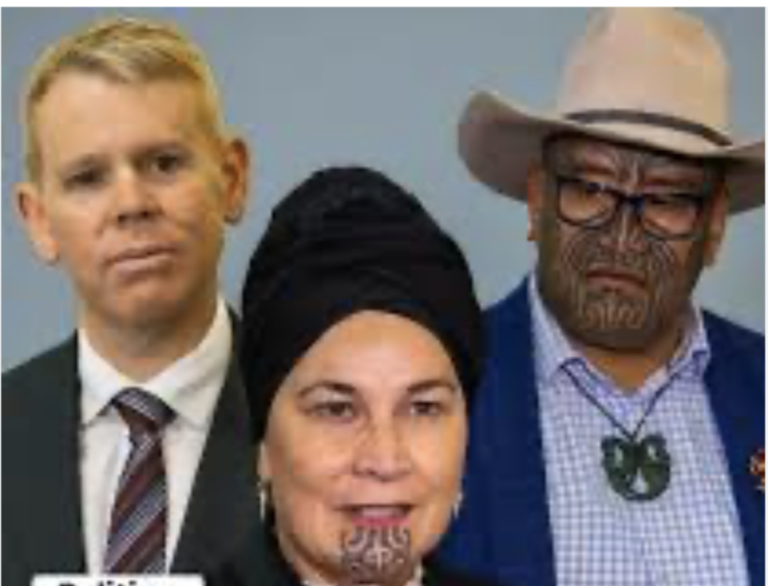 Chippy on the identity politics of Te Pati Māori