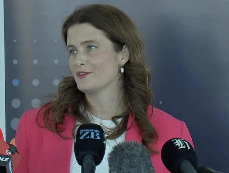 Nicola Willis and the social investment scam