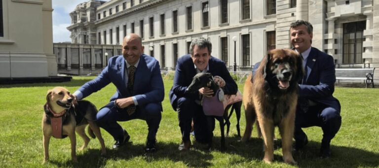 Political Caption Competition