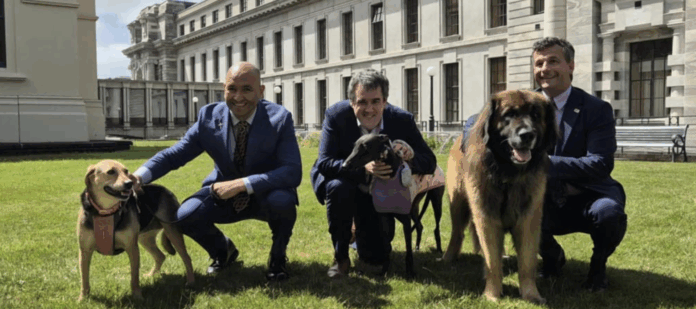 Screenshot 2025-12-02 at 10.37.32 AM