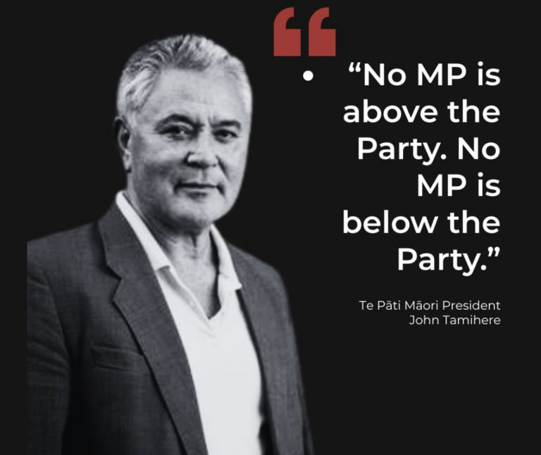 Blaming JT for te Pati Māori implosion