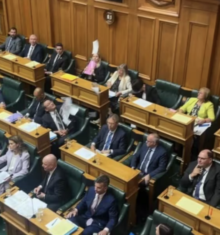 Parliament disrupted by Palestine Solidarity protest this afternoon