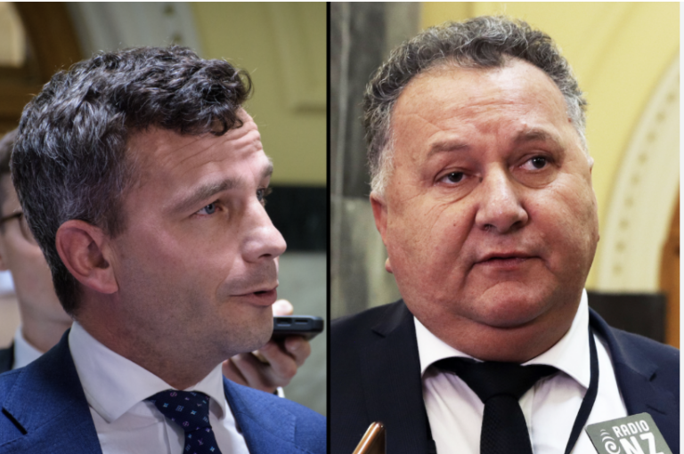 David Seymour and Shane Jones lash out at UN for criticising their racism