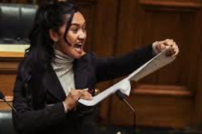 WAATEA NEWS COLUMN: Election 2026 – Why Te Pati Māori must heal for us all to win