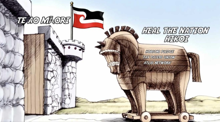 Heal the Nation Hikoi failure & the dangerous rise of Right Wing Māori social media influencers