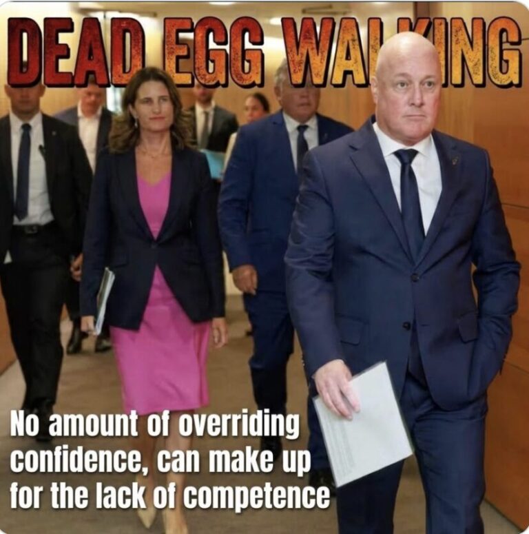 Look, Luxon is a charmless chump, but he is the Prime Minister NZ deserves