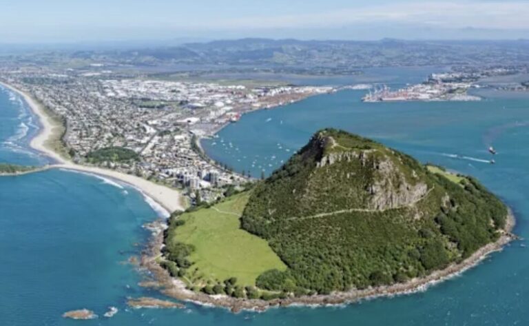 Mt Maunganui tragedy another deregulated Kiwi nightmare