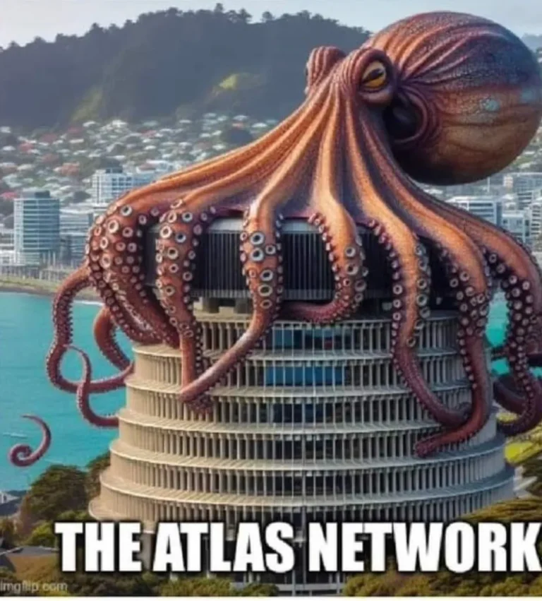 Why would we trust Shane Jones, Donald Trump and Atlas Network over rare earth minerals?