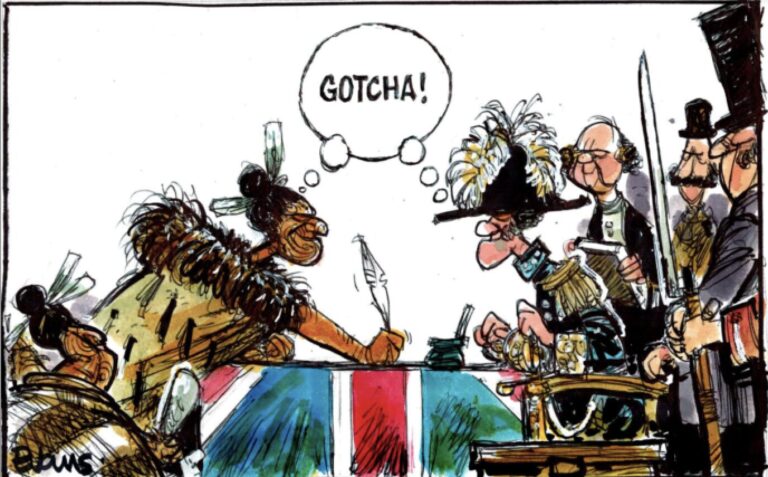 Cheaty of Waitangi 2026 – Brown on Brown Unfriendly Fire and White Noise Denial