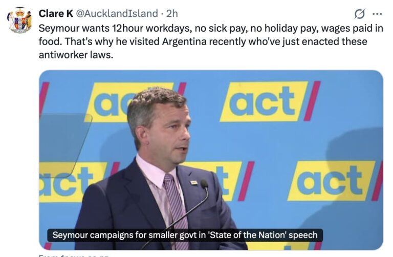 David Seymour goes full Musk DOGE to maim NZ Public Services with an Argentinian Chainsaw