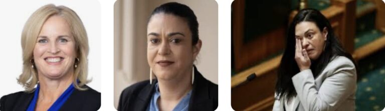 Why is Oranga Tamariki allowed to have a Māori name?