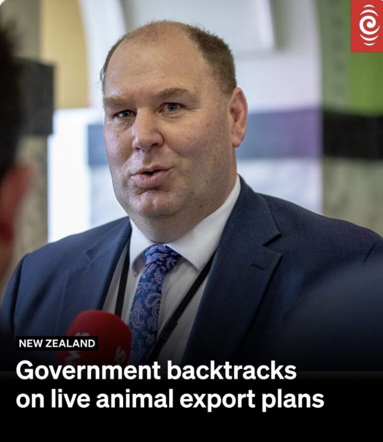 Political Caption Competition