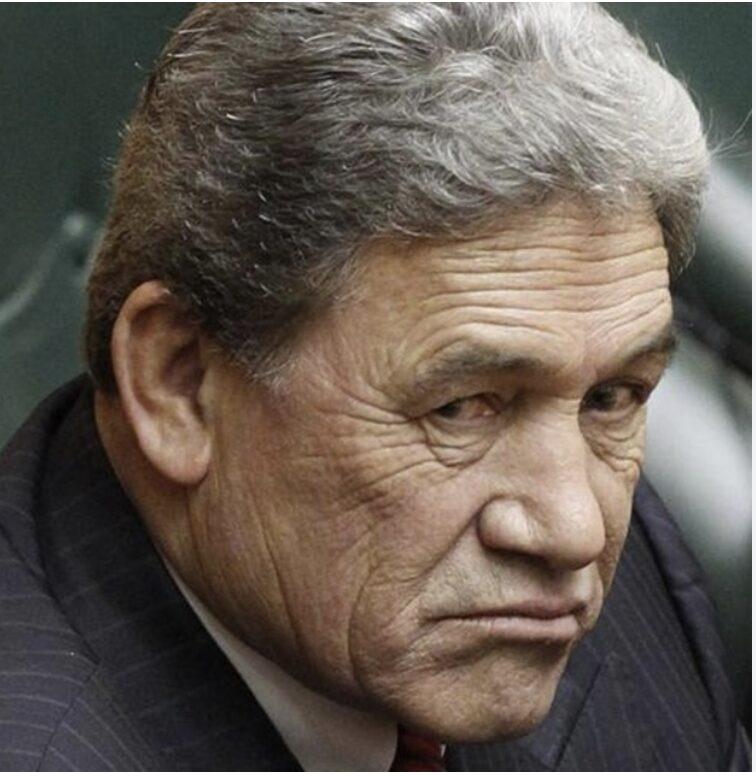 Winston howls he would never use personal information to politically attack anyone – ask Benjamin Doyle and Harry Tam