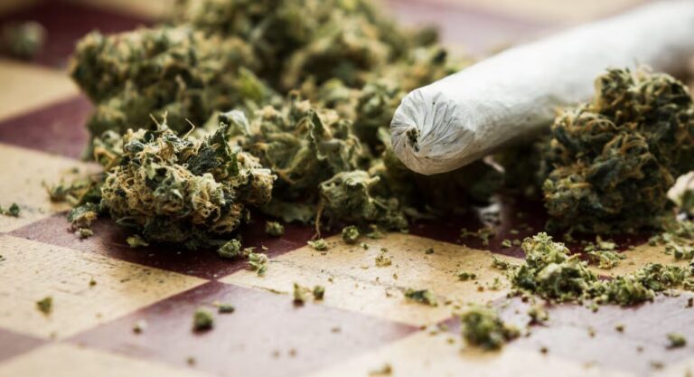 More arrests for cannabis possession a reminder what a racist war looks like