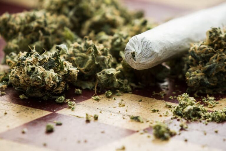 More arrests for cannabis possession a reminder what a racist war looks like