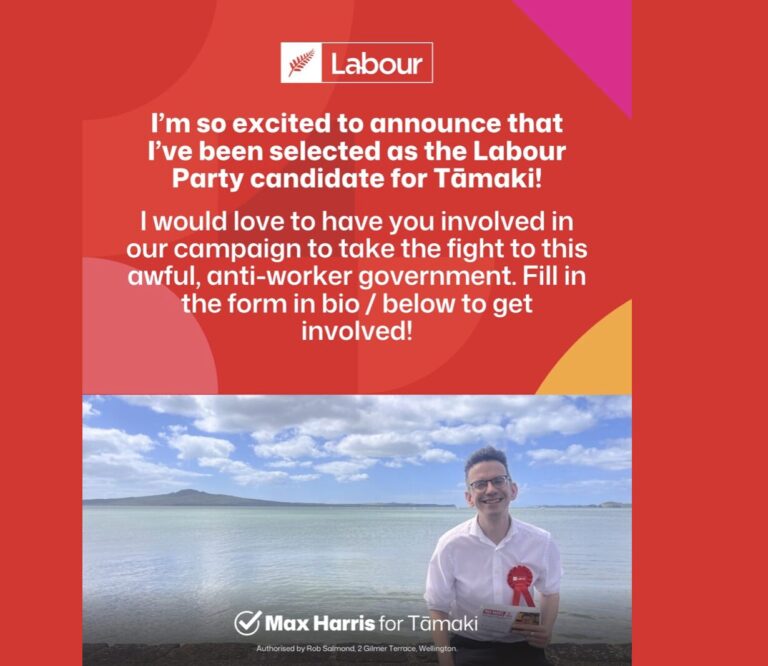 Max Harris is the Auckland answer Labour needs