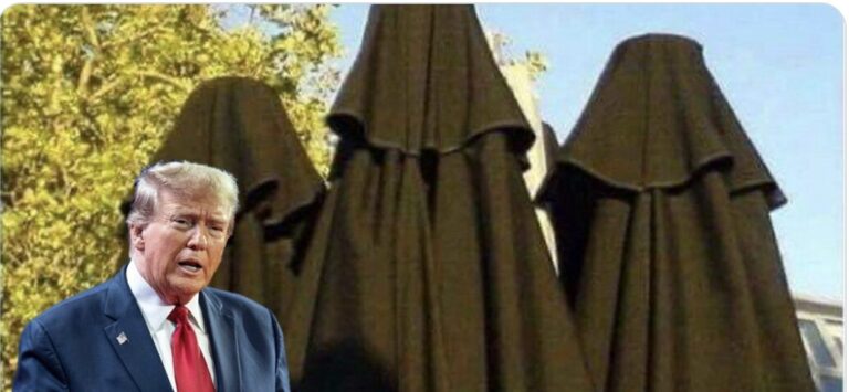 Political Caption Competition