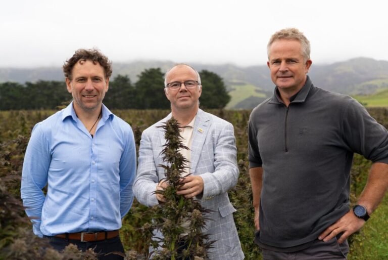 Political Caption Competition