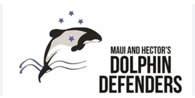 Oceans on the agenda as environmental groups pitch to politicians – Māui and Hector’s Dolphin Defenders