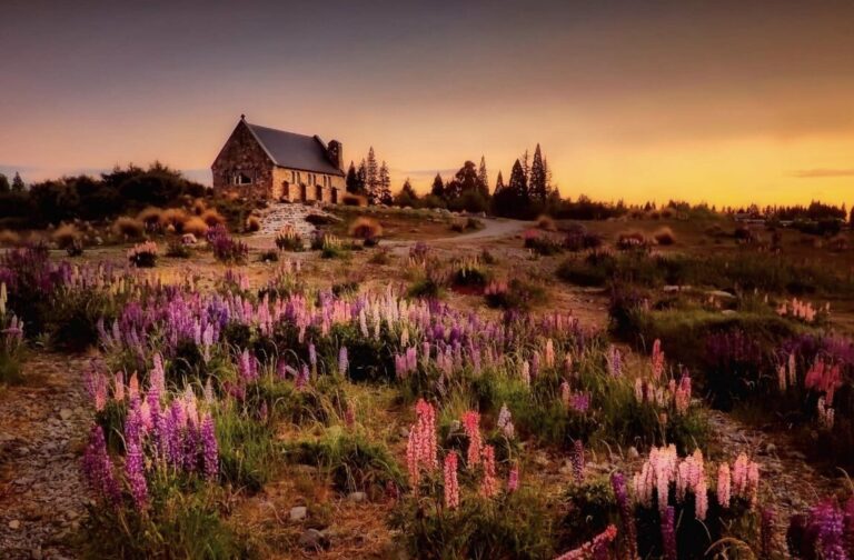 New Zealand’s Cost of Living Crisis in 2026: What’s Really Happening?