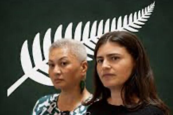 Greens electrification plan may be NZ’s best economic policy