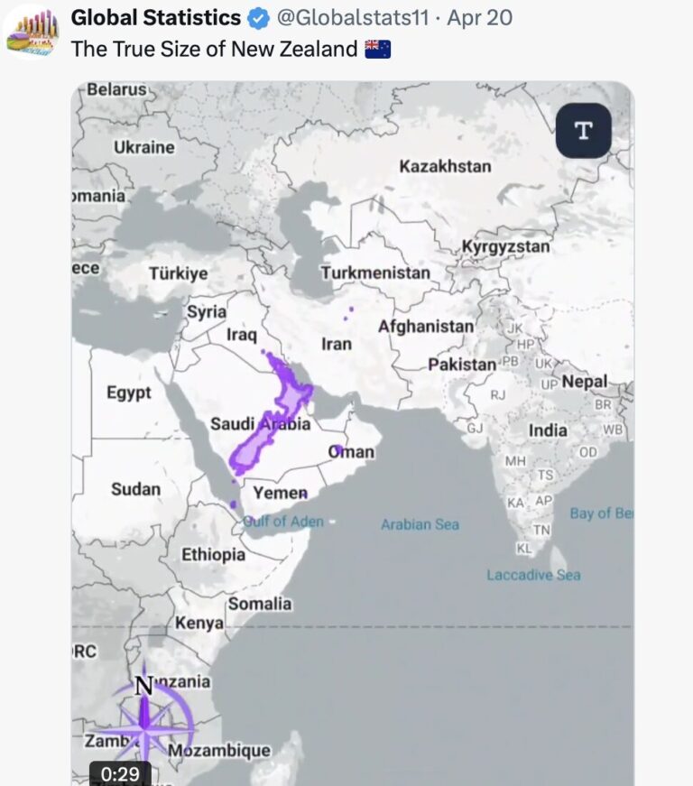 The Truth about NZs little battler myth and why free market dynamics don’t work here
